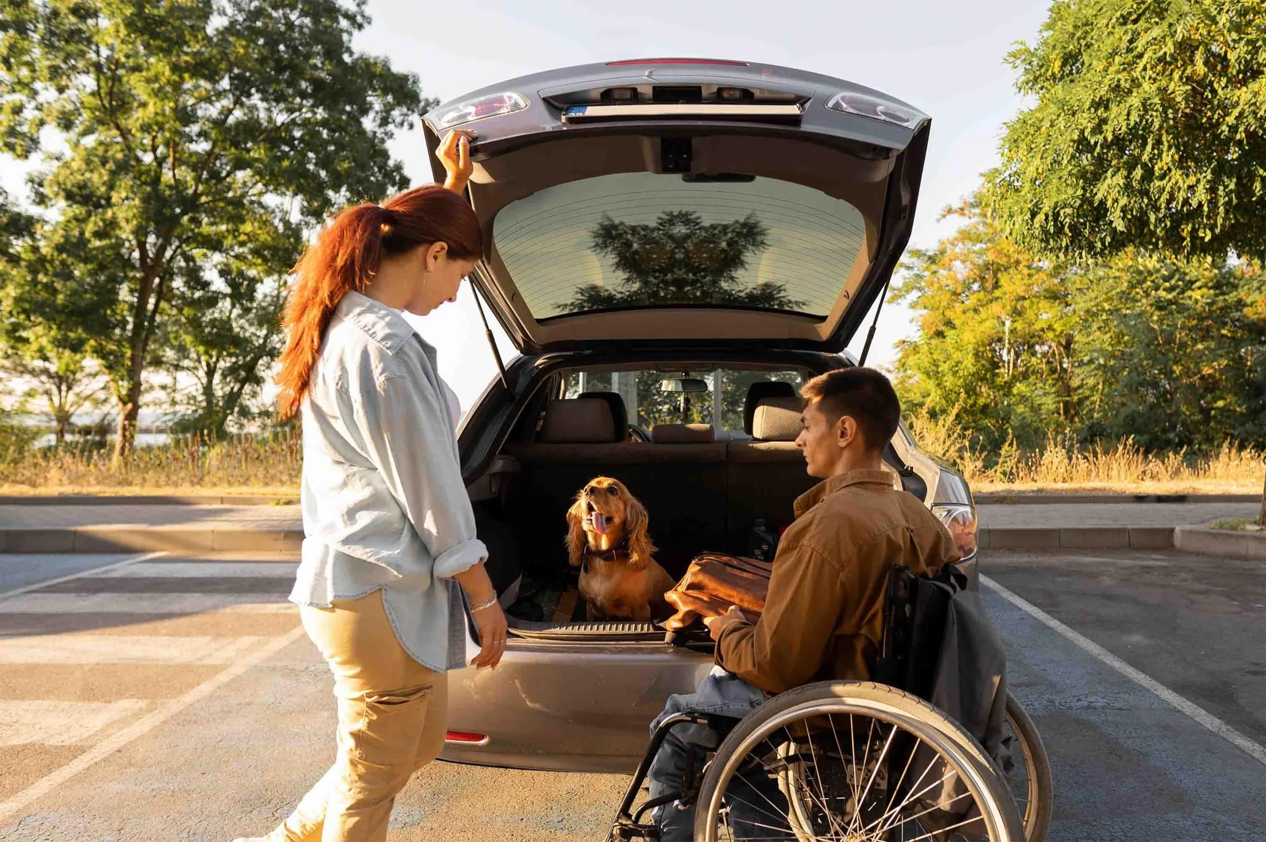 Wheel Chair Scaled
